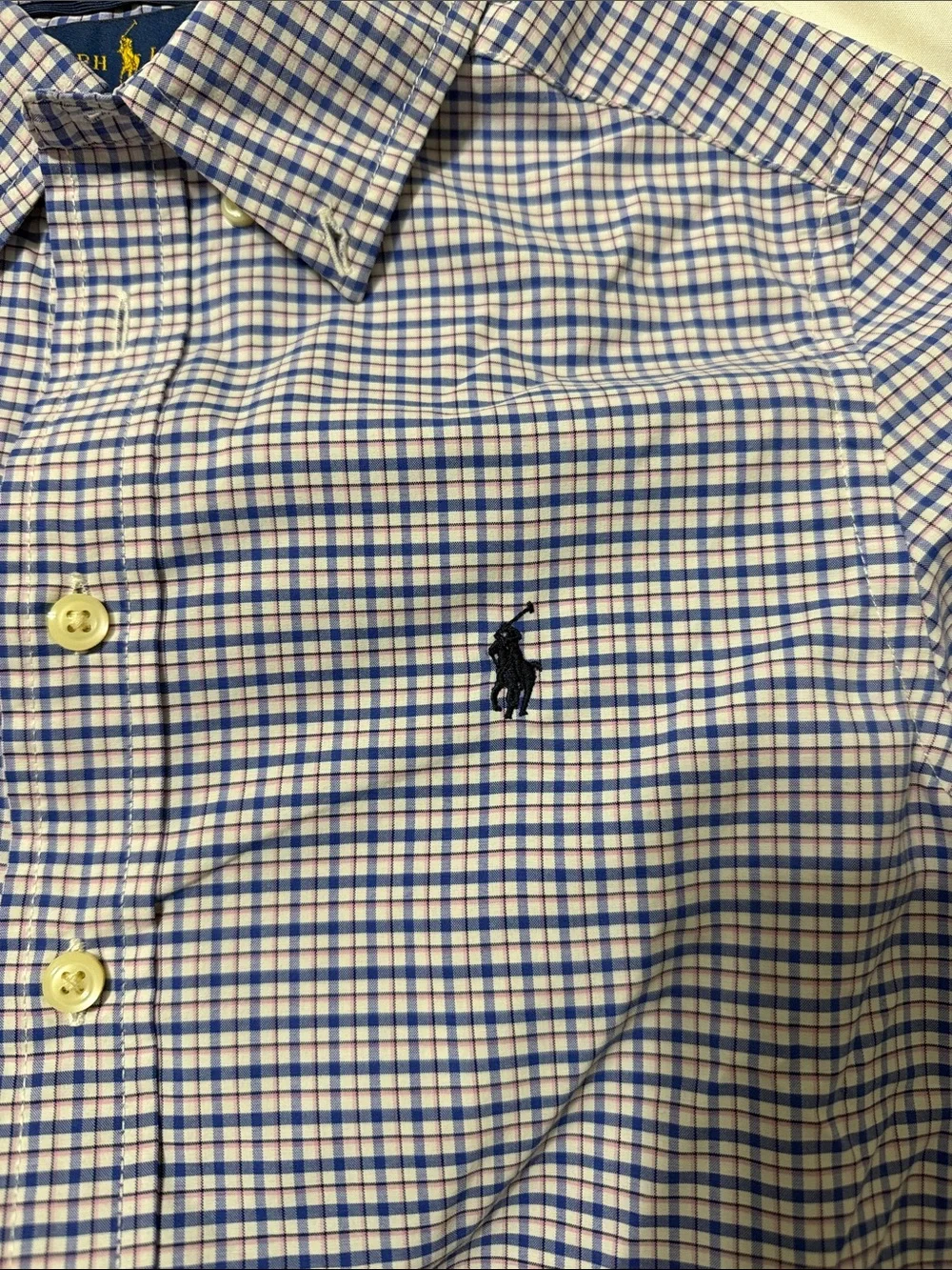 Ralph Lauren White and Blue Micro-Check Button-Down Shirt